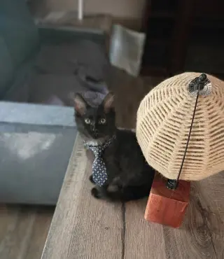 Oliver [CP]