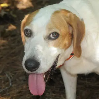 Duncan