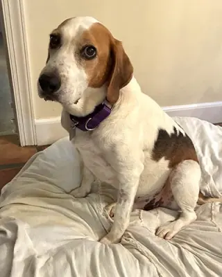 Duncan