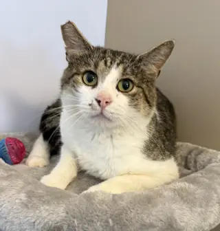 Charlie