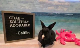 Caitlin