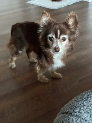 Coco~