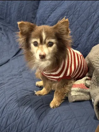 Coco~