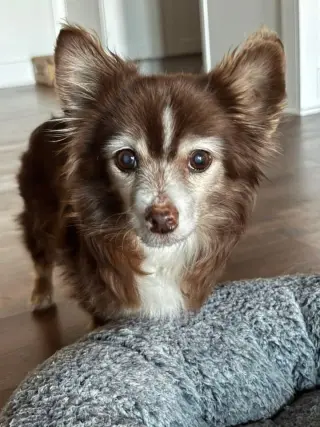 Coco~