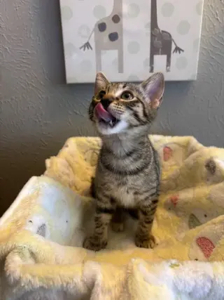 Minnie