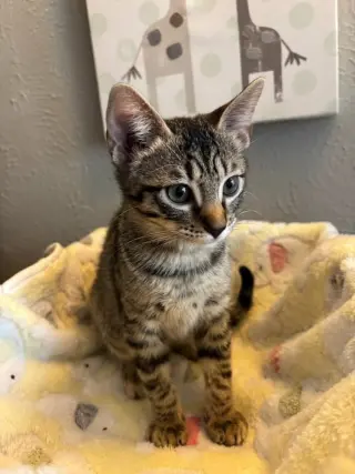 Minnie