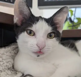 Martina (bonded with Fizzy)