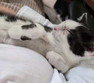 Martina (bonded with Fizzy)