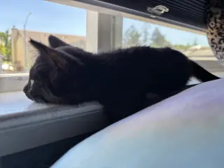 Izzy Napa