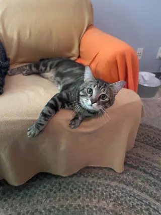 Parker