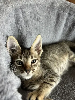 Lucy