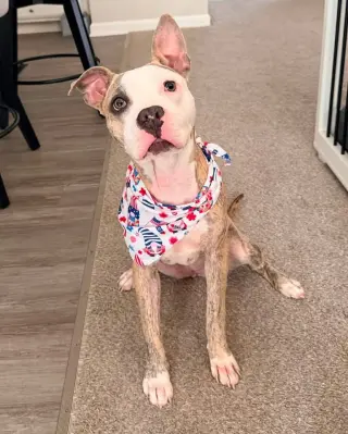 Eleanor Jane