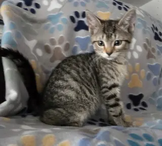 FIA & FILI - Bonded Sisters