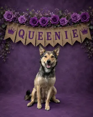 Queenie