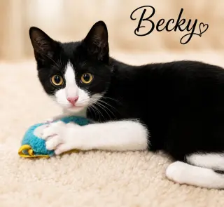 Becky (FCID# 07/06/2026 - 51 West Chester PS)