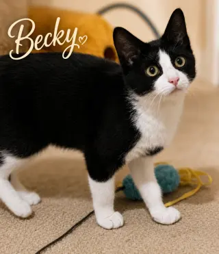 Becky (FCID# 07/06/2026 - 51 West Chester PS)