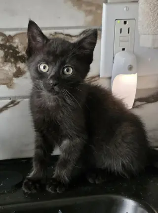 Tuna (Aka Jerry)