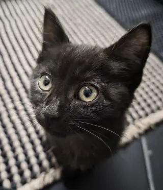 Tuna (Aka Jerry)