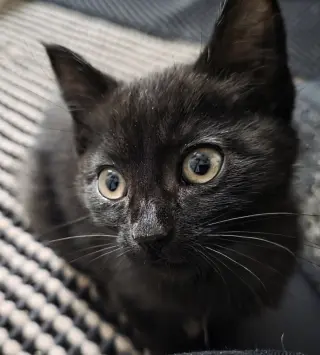 Tuna (Aka Jerry)
