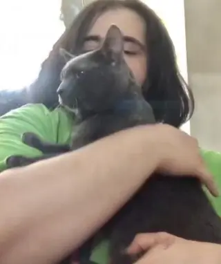 Chat Napa Petco