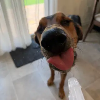 JAX #3