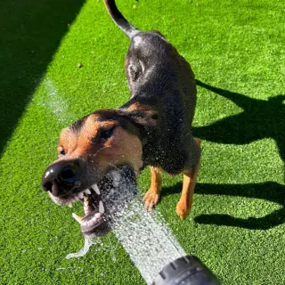 JAX #3