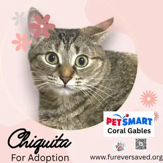 Chiquita