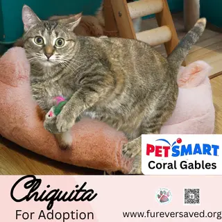 Chiquita