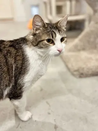 Gary