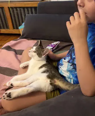 Pipo & Takki