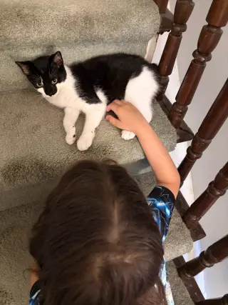 Pipo & Takki