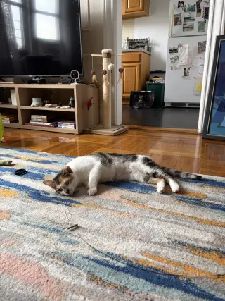 Margo