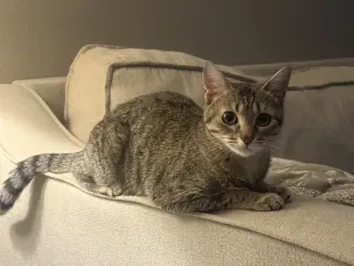 Susan