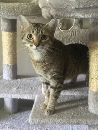 Susan