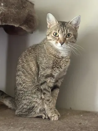 Susan