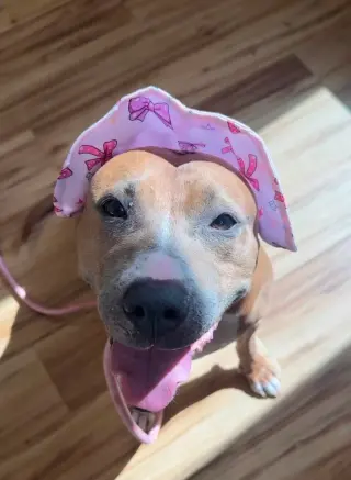 Bailey