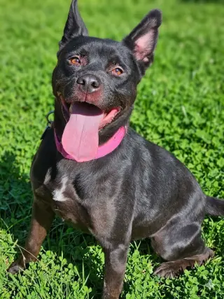 Luna