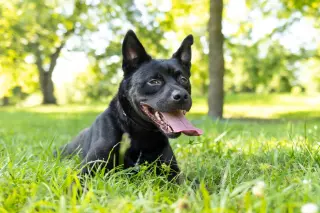 Luna