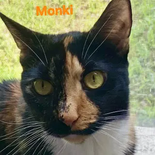 Monki