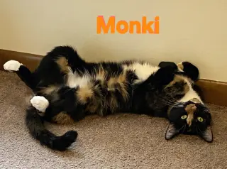 Monki