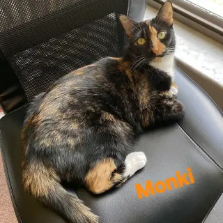 Monki