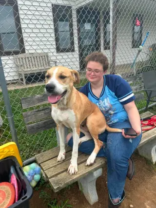 Pound Dog-Daisy #190613 Courtesy Listing