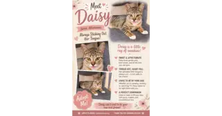 Daisy