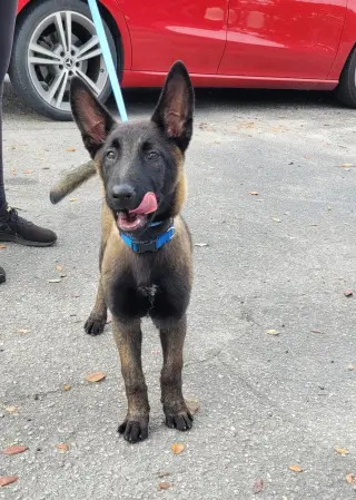 Omen  - Located in FL