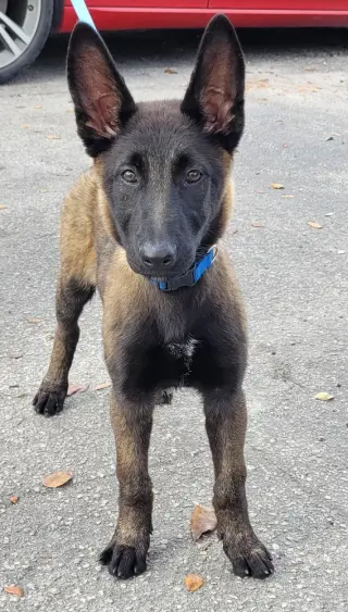 Omen  - Located in FL