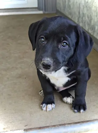 Malcolm