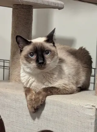 Jasper