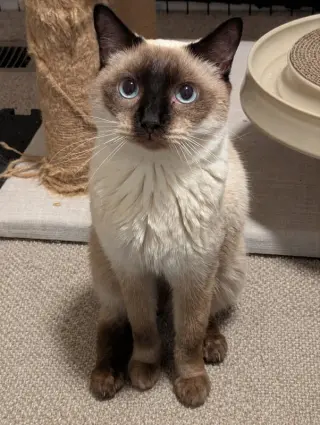 Jasper