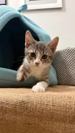 Olivia