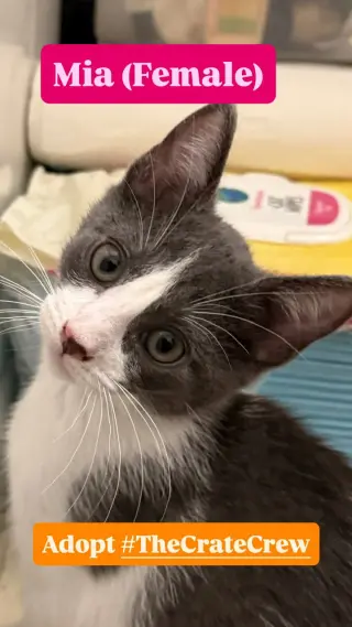 Mia